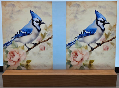 DecoCraft - Vintage Portrait Series - Blue Jay Florals - Blue Jay Perch