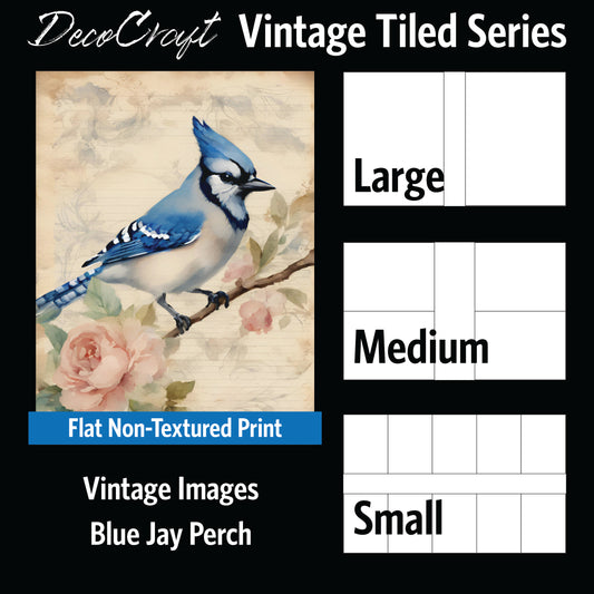 DecoCraft - Vintage Portrait Series - Blue Jay Florals - Blue Jay Perch