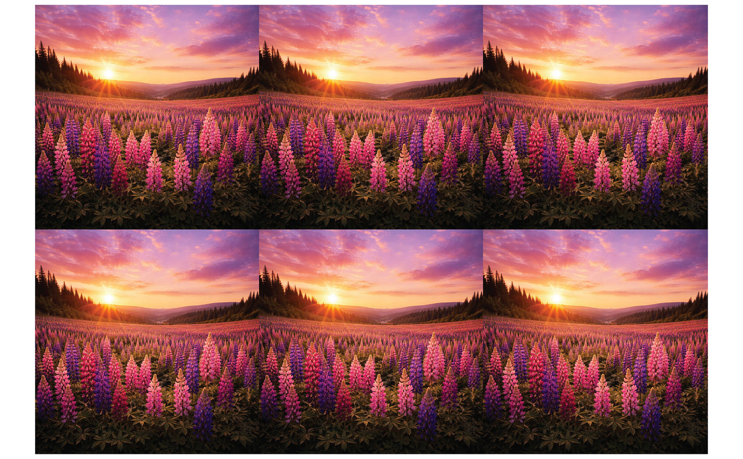 DecoCraft - Studio 1375 - Scenic Tiles Series - Lupins at Sunset