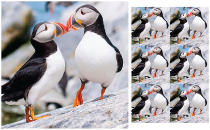 DecoCraft - Studio 1375 - Scenic Tiles Series - Cliffside Bond Puffins