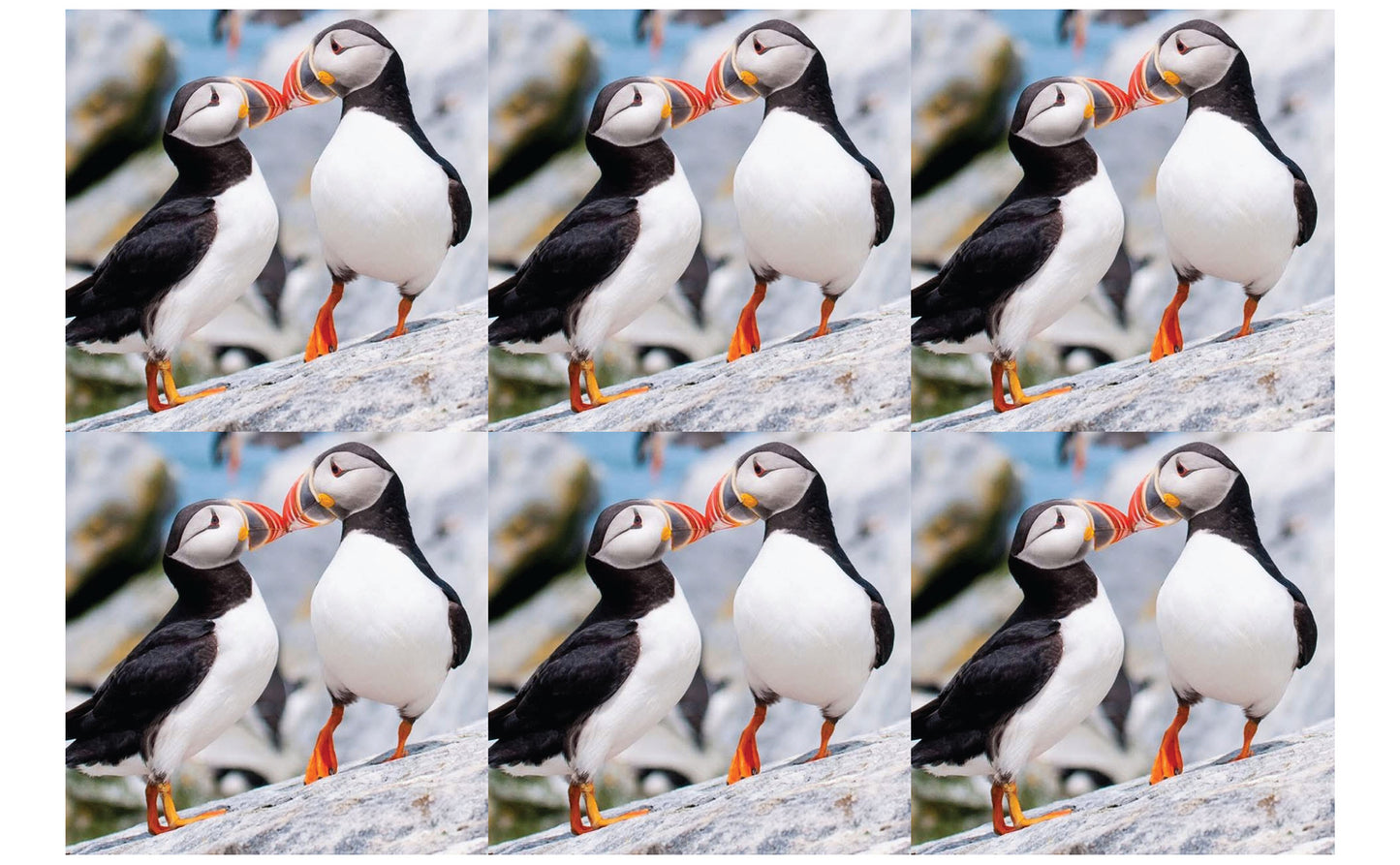 DecoCraft - Studio 1375 - Scenic Tiles Series - Cliffside Bond Puffins