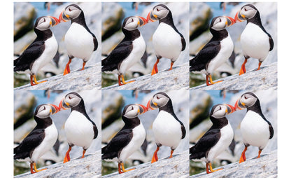 DecoCraft - Studio 1375 - Scenic Tiles Series - Cliffside Bond Puffins