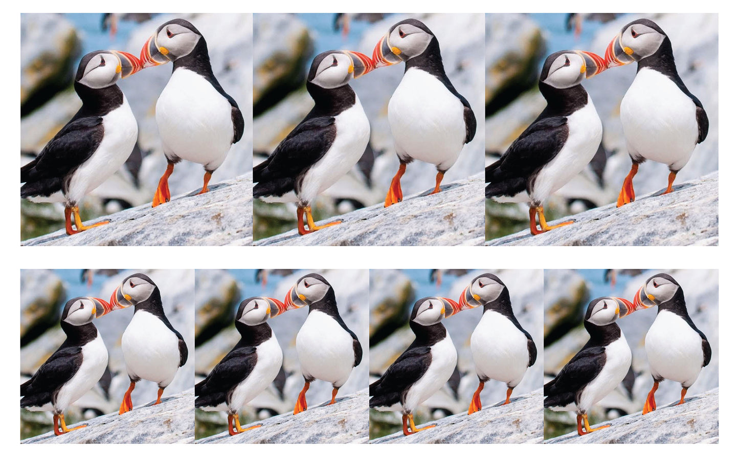 DecoCraft - Studio 1375 - Scenic Tiles Series - Cliffside Bond Puffins