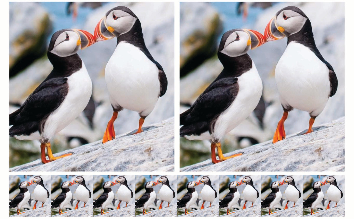 DecoCraft - Studio 1375 - Scenic Tiles Series - Cliffside Bond Puffins