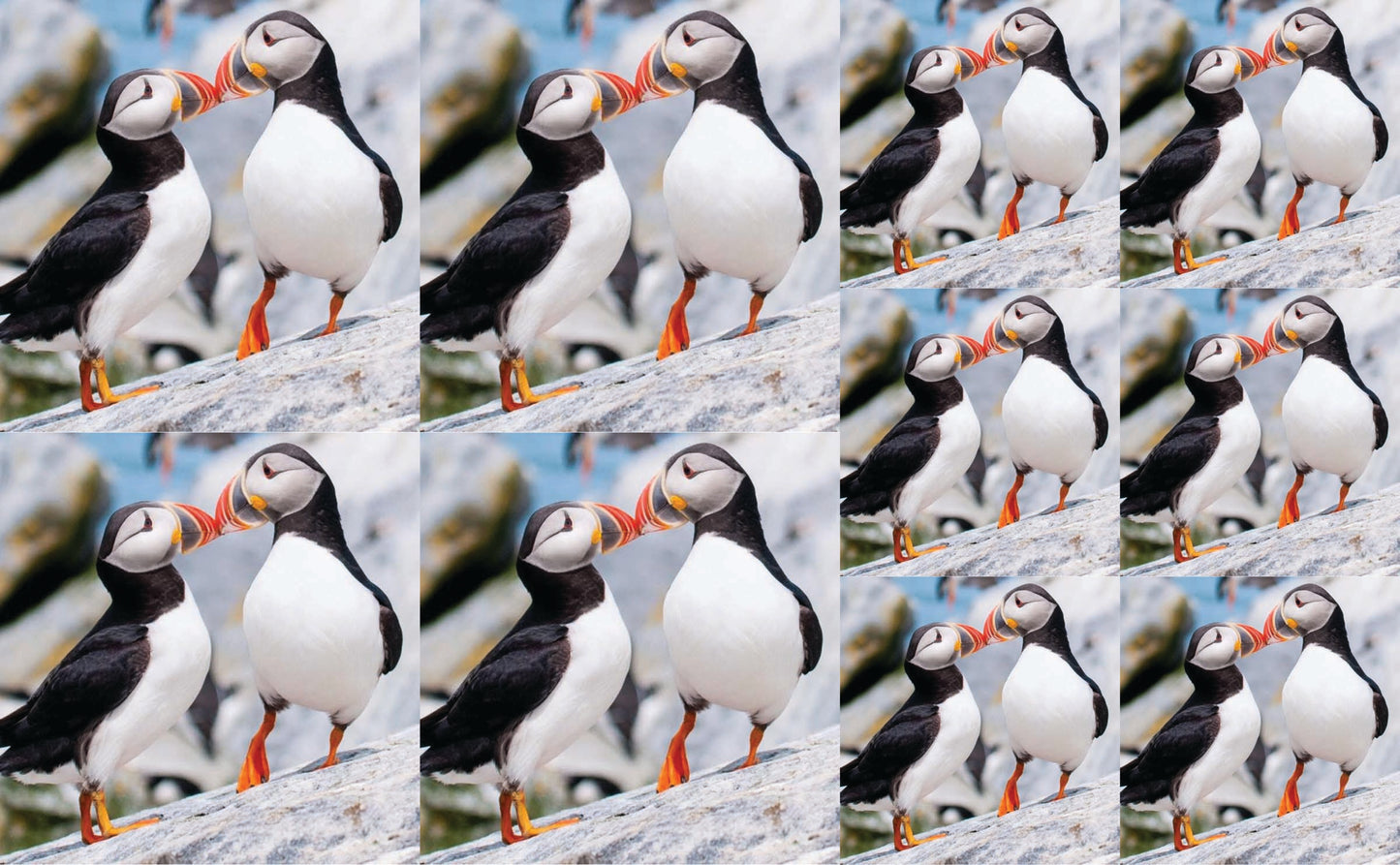 DecoCraft - Studio 1375 - Scenic Tiles Series - Cliffside Bond Puffins