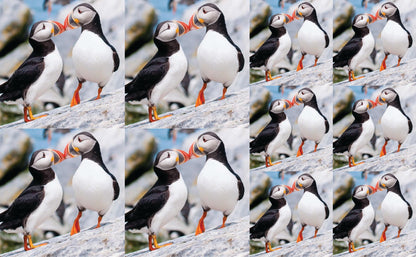DecoCraft - Studio 1375 - Scenic Tiles Series - Cliffside Bond Puffins