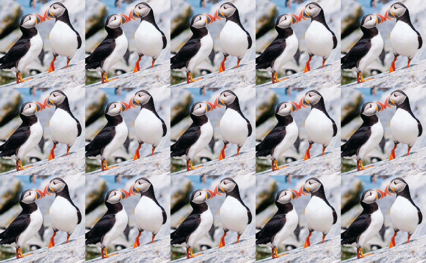 DecoCraft - Studio 1375 - Scenic Tiles Series - Cliffside Bond Puffins