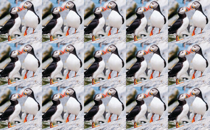 DecoCraft - Studio 1375 - Scenic Tiles Series - Cliffside Bond Puffins