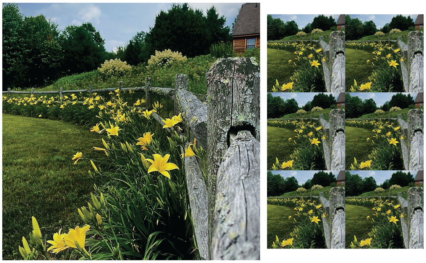 DecoCraft - Studio 1375 - Scenic Tiles Series - Daffodil Country Path