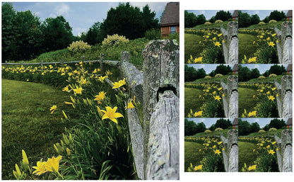 DecoCraft - Studio 1375 - Scenic Tiles Series - Daffodil Country Path