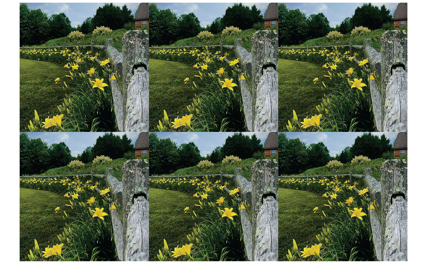 DecoCraft - Studio 1375 - Scenic Tiles Series - Daffodil Country Path