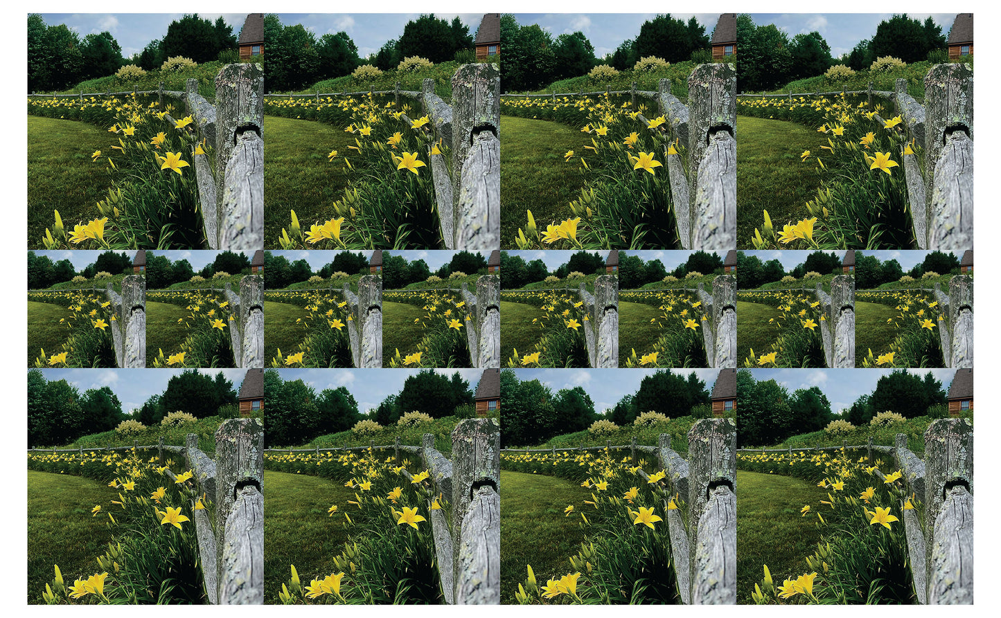 DecoCraft - Studio 1375 - Scenic Tiles Series - Daffodil Country Path