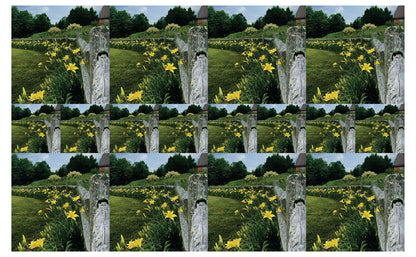 DecoCraft - Studio 1375 - Scenic Tiles Series - Daffodil Country Path