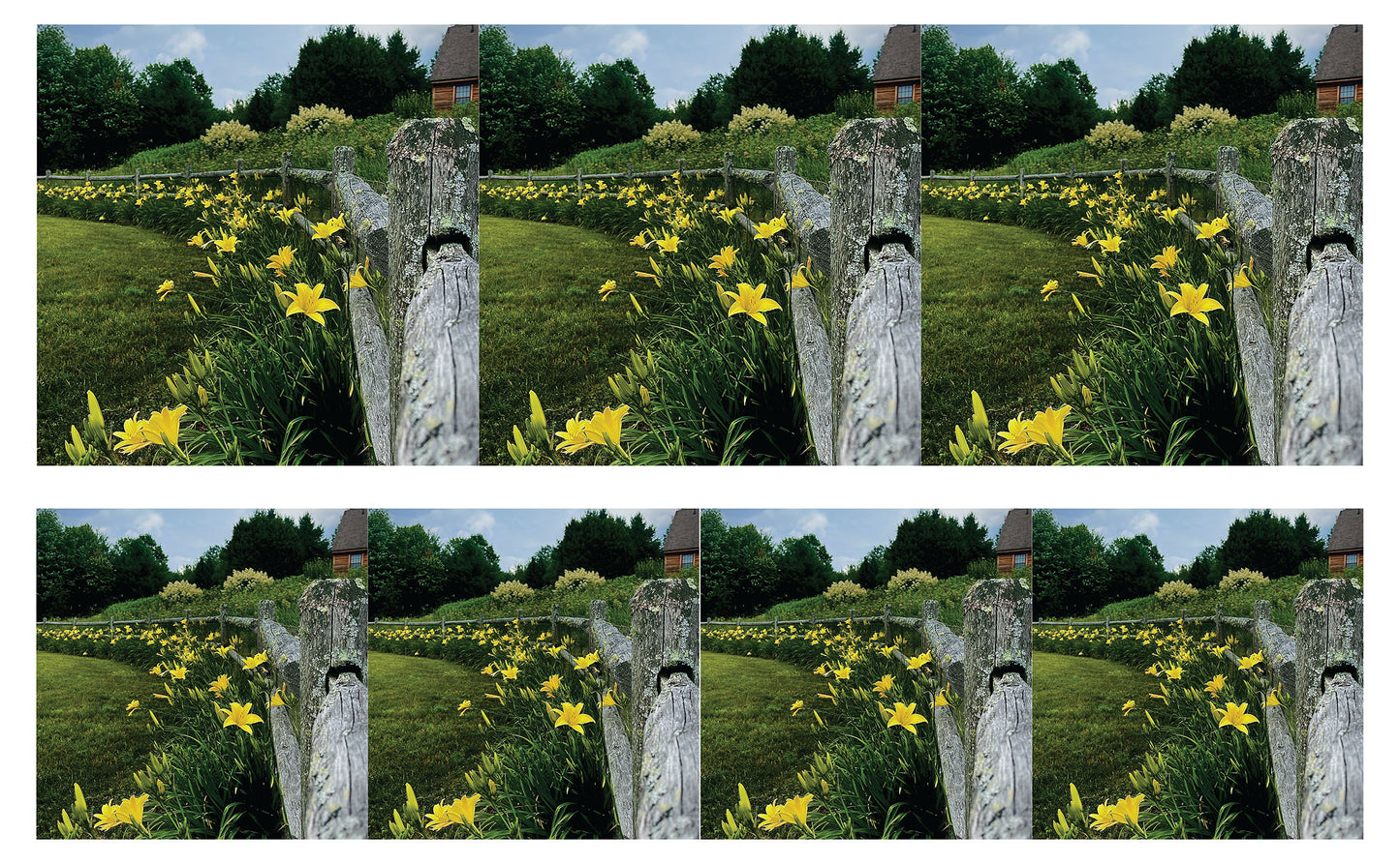 DecoCraft - Studio 1375 - Scenic Tiles Series - Daffodil Country Path