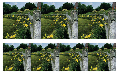 DecoCraft - Studio 1375 - Scenic Tiles Series - Daffodil Country Path