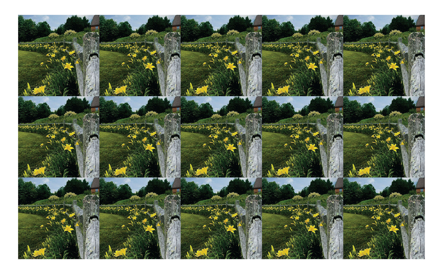 DecoCraft - Studio 1375 - Scenic Tiles Series - Daffodil Country Path