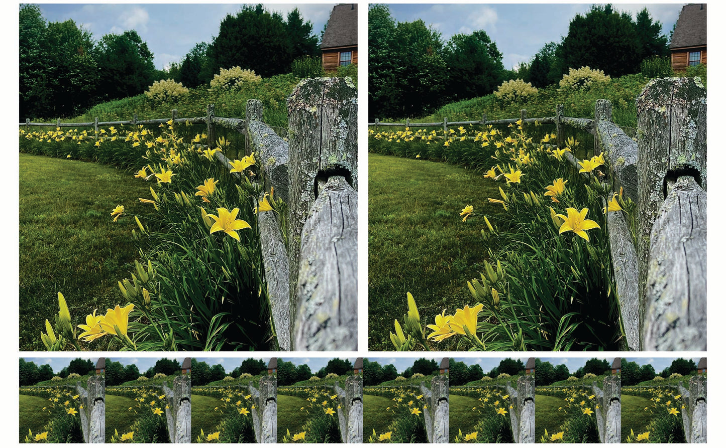 DecoCraft - Studio 1375 - Scenic Tiles Series - Daffodil Country Path