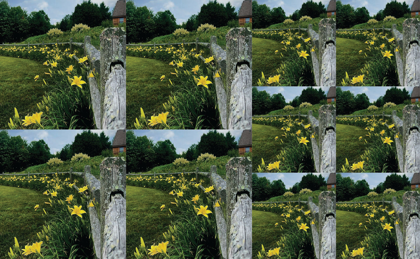 DecoCraft - Studio 1375 - Scenic Tiles Series - Daffodil Country Path