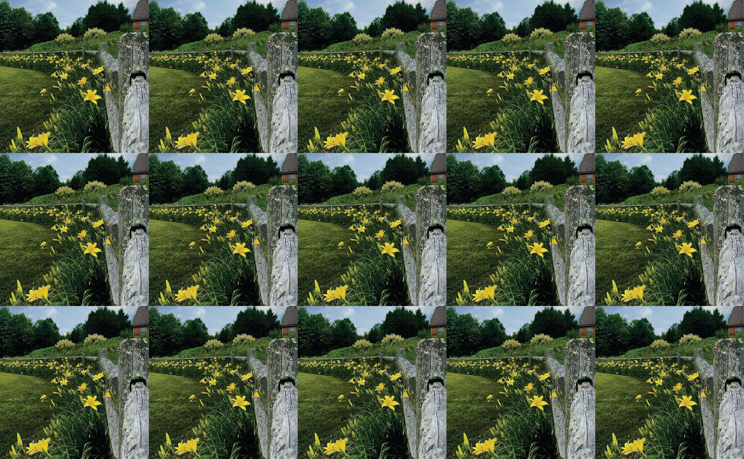 DecoCraft - Studio 1375 - Scenic Tiles Series - Daffodil Country Path