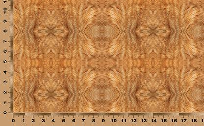 DecoCraft - Textures (Flat) Cat Fur - Orange Tabby