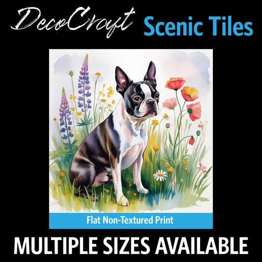 DecoCraft - Scenic Tiles Series - Watercolor Pets - Boston Terrier