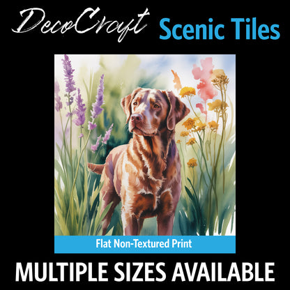 DecoCraft - Scenic Tiles Series - Watercolor Pets - Chesapeake Bay Retriever