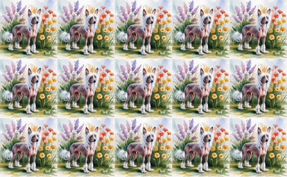 DecoCraft - Scenic Tiles Series - Watercolor Pets - Chinese Crested