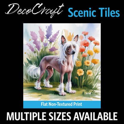DecoCraft - Scenic Tiles Series - Watercolor Pets - Chinese Crested