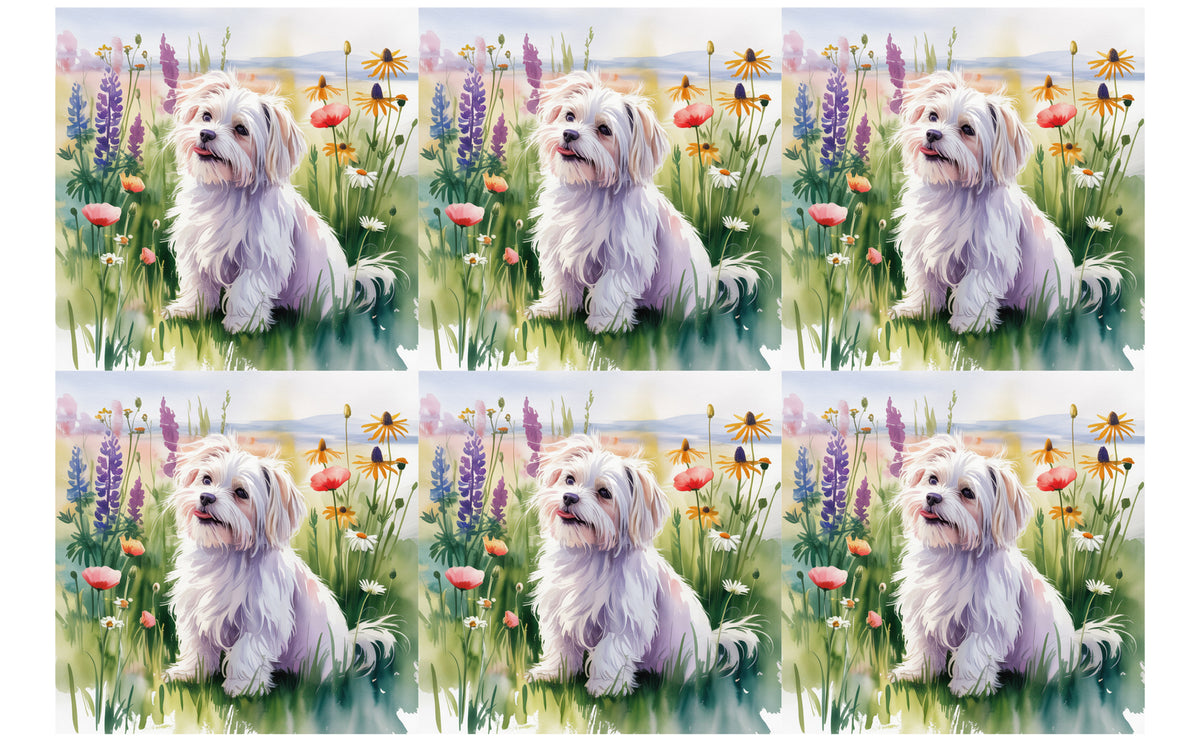 DecoCraft - Scenic Tiles Series - Watercolor Pets - Maltese