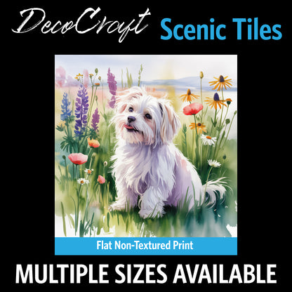DecoCraft - Scenic Tiles Series - Watercolor Pets - Maltese