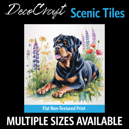 DecoCraft - Scenic Tiles Series - Watercolor Pets - Rottweiler