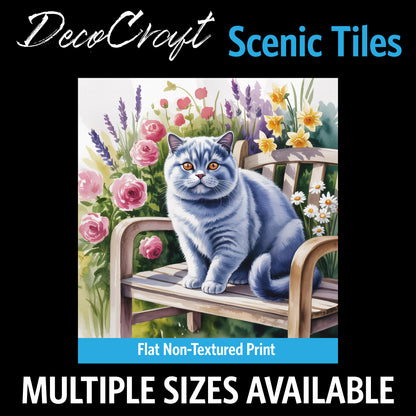 DecoCraft - Scenic Tiles Series - Watercolor Pets - British Shorthair - Gray