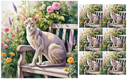 DecoCraft - Scenic Tiles Series - Watercolor Pets - Oriental Shorthair
