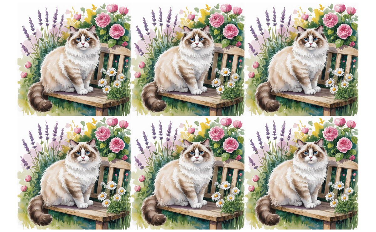 DecoCraft - Scenic Tiles Series - Watercolor Pets - Ragdoll