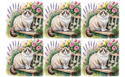 DecoCraft - Scenic Tiles Series - Watercolor Pets - Ragdoll
