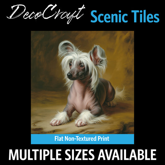 DecoCraft - Scenic Tiles Series - Oil Painting Pets - Chinese Crested