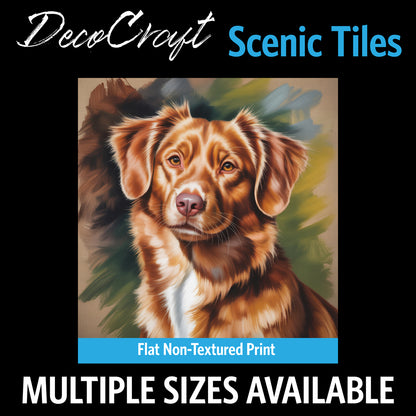 DecoCraft - Scenic Tiles Series - Oil Painting Pets - Nova Scotia Duck Tolling Retriever